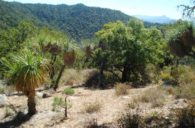  Baja California Trails 